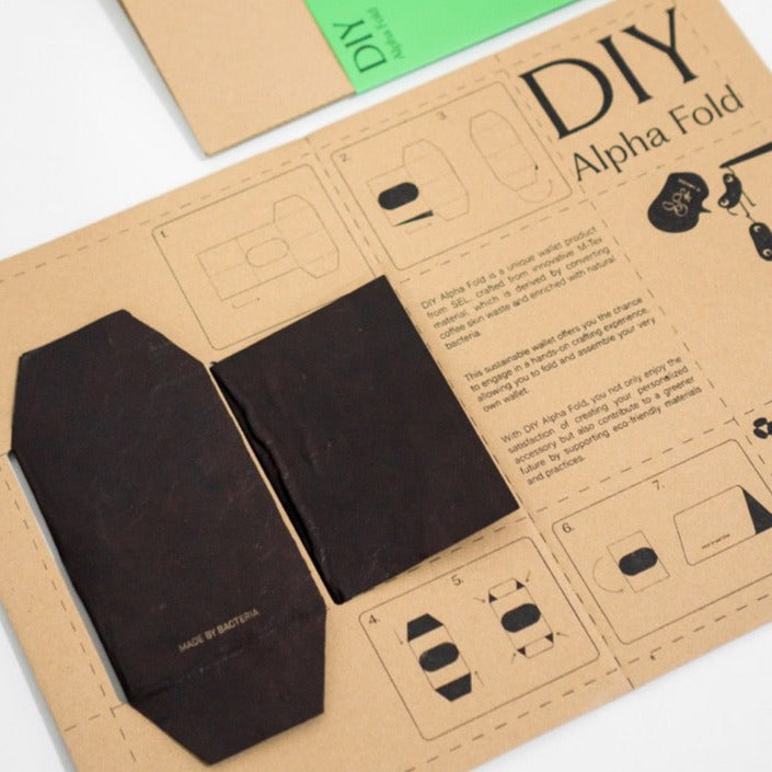 DIY ALPHA FOLD