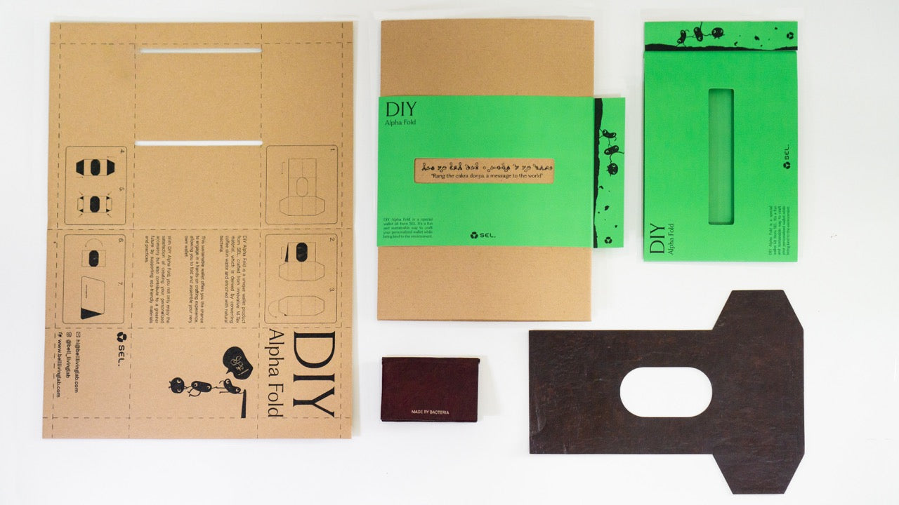 DIY ALPHA FOLD