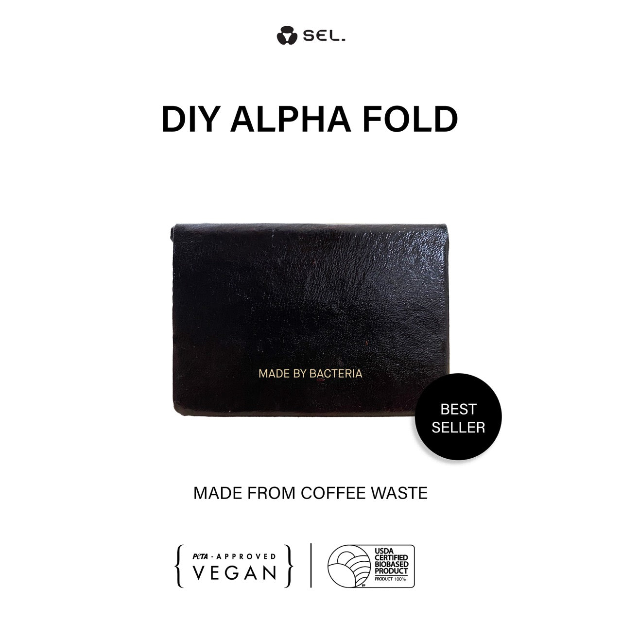 DIY ALPHA FOLD